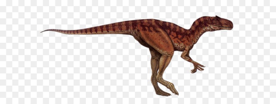 Dinossauro，Pré Histórico PNG