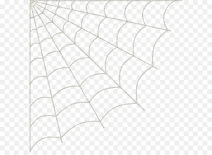 Teia De Aranha，Aranha PNG