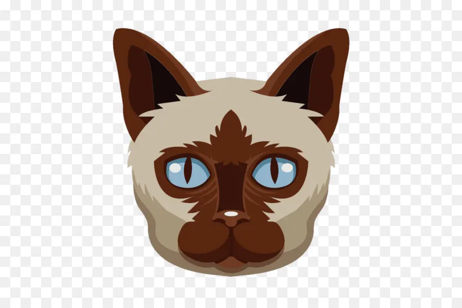 Siamese Cat，Ragdoll PNG