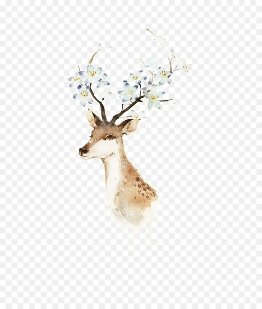 Deer，Aquarela Pintura PNG