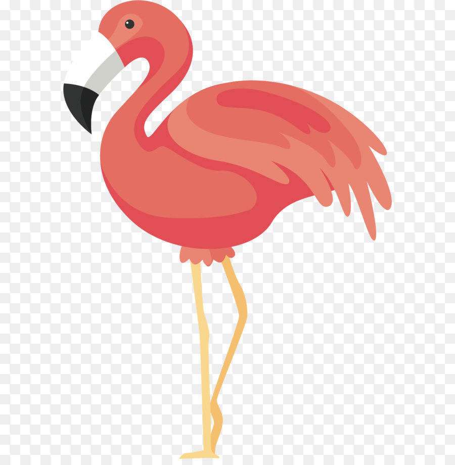 Featured image of post Redondo Adesivo Flamingo Png