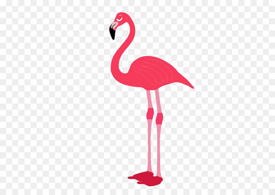 Flamingo，Download PNG