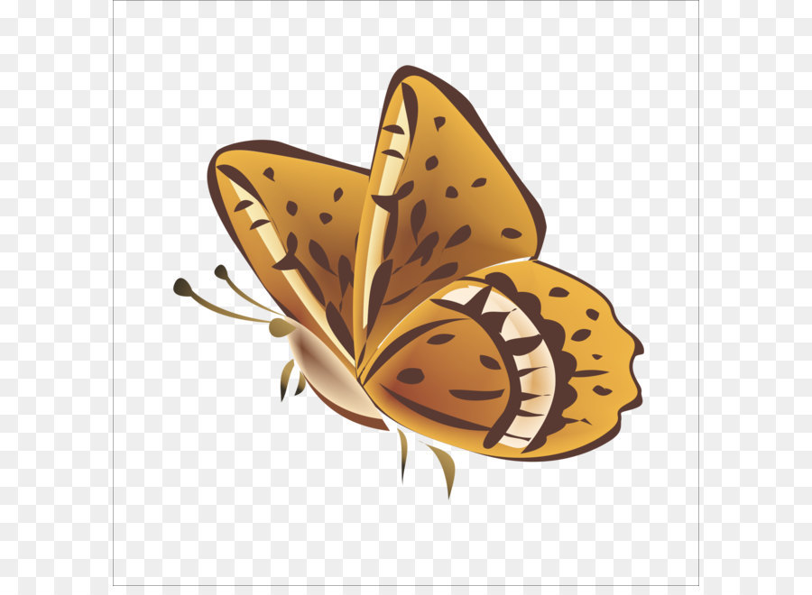 Borboleta，Mooncake PNG