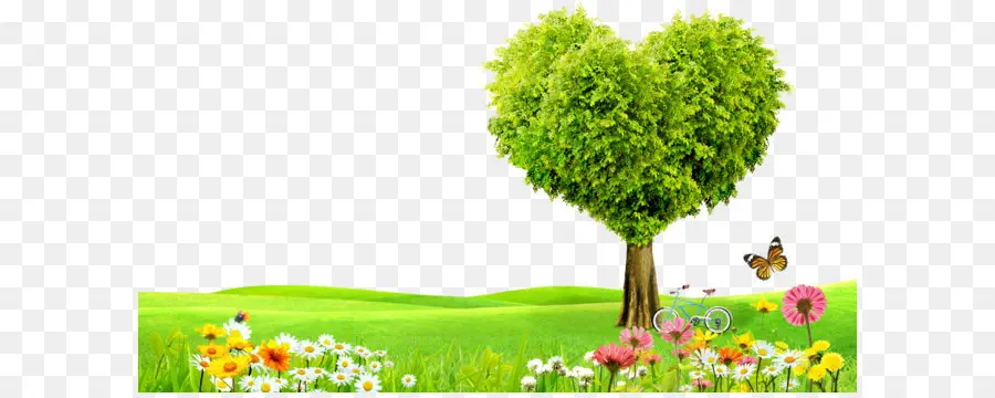 Amor，árvore PNG