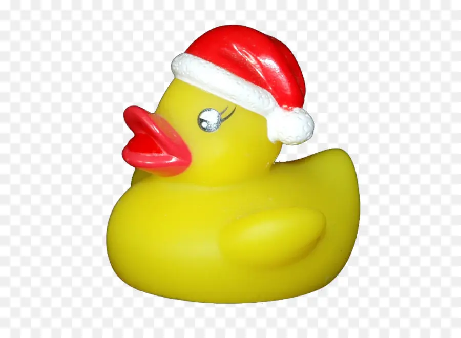 Pato De Borracha，Chapéu De Papai Noel PNG