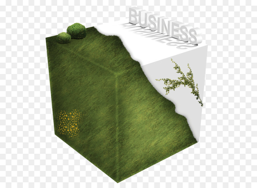 Verde，Cubo PNG