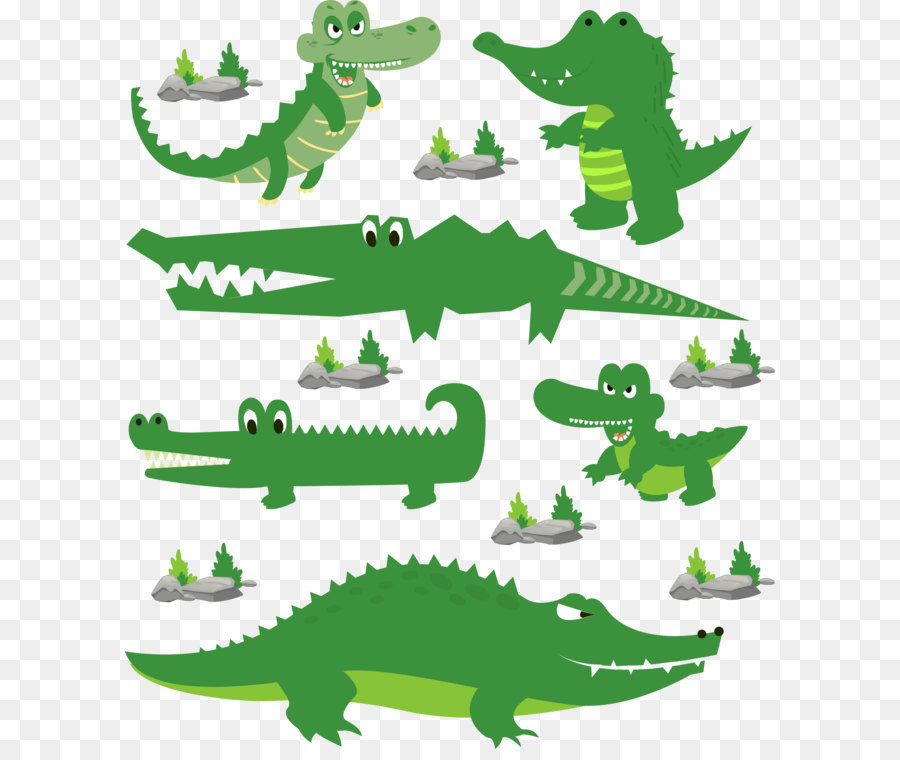 Crocodilo，Jacaré PNG