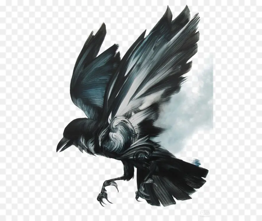 Comum Raven，Pintura PNG