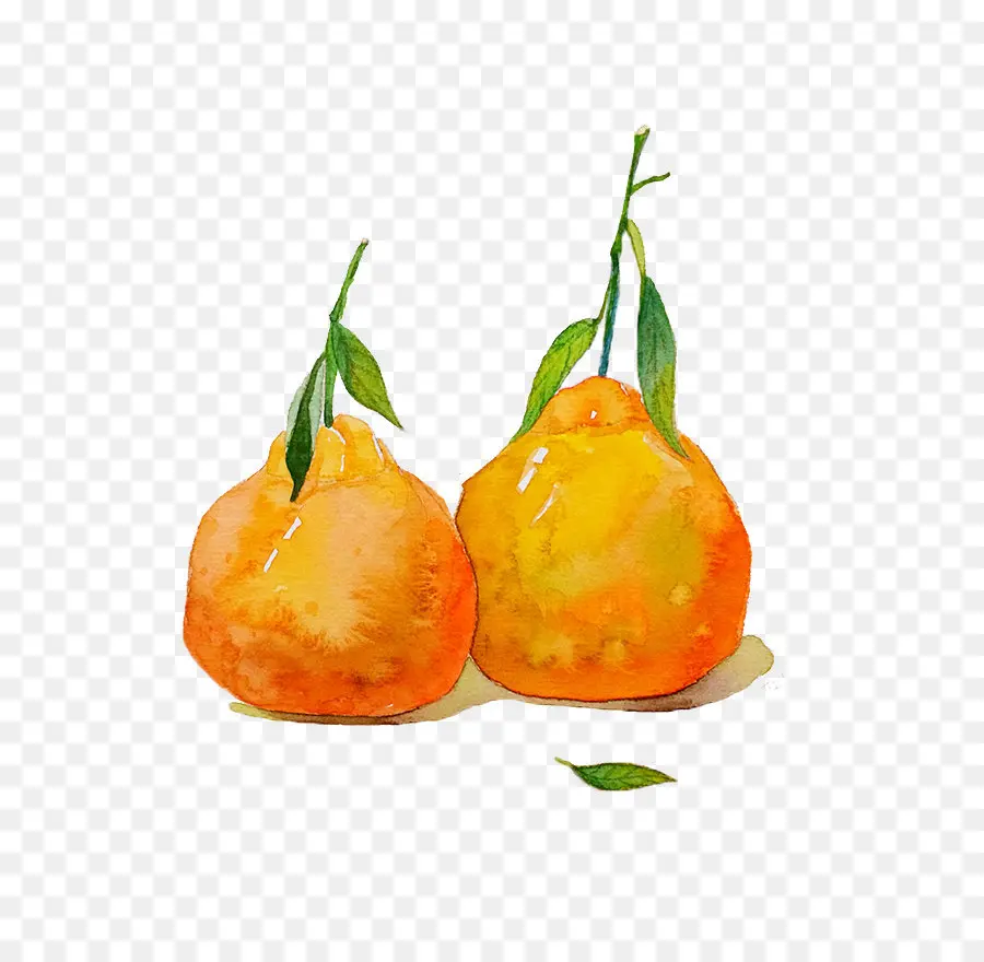 Mandarim De Laranja，Tangelo PNG