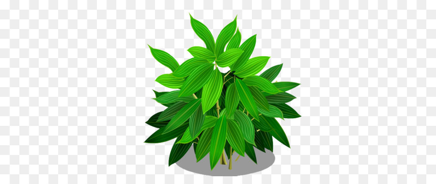 Planta Verde，Folhas PNG