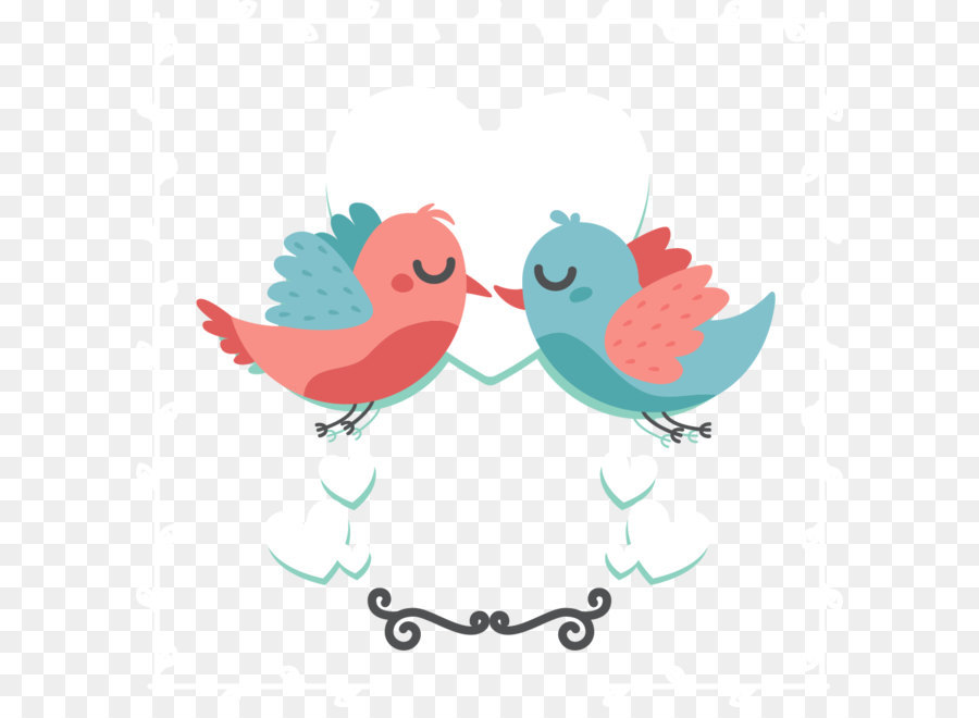 Aves，Lovebird PNG