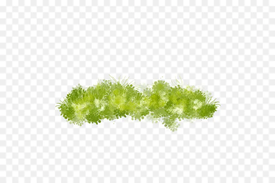 Verde，Cor PNG