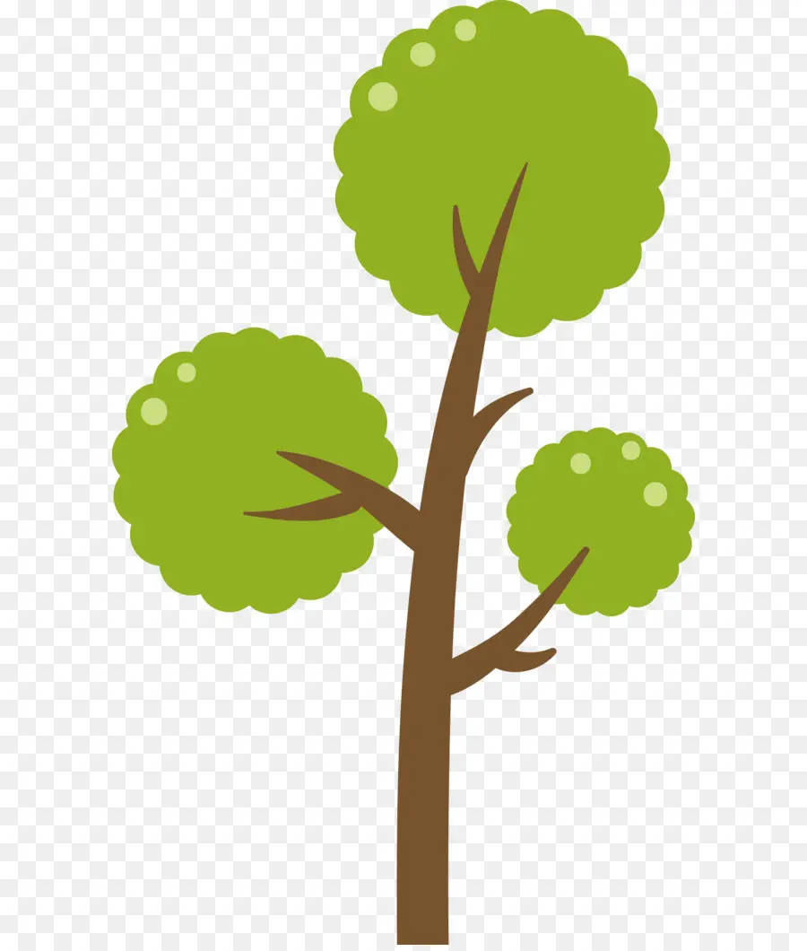 árvore，Verde PNG