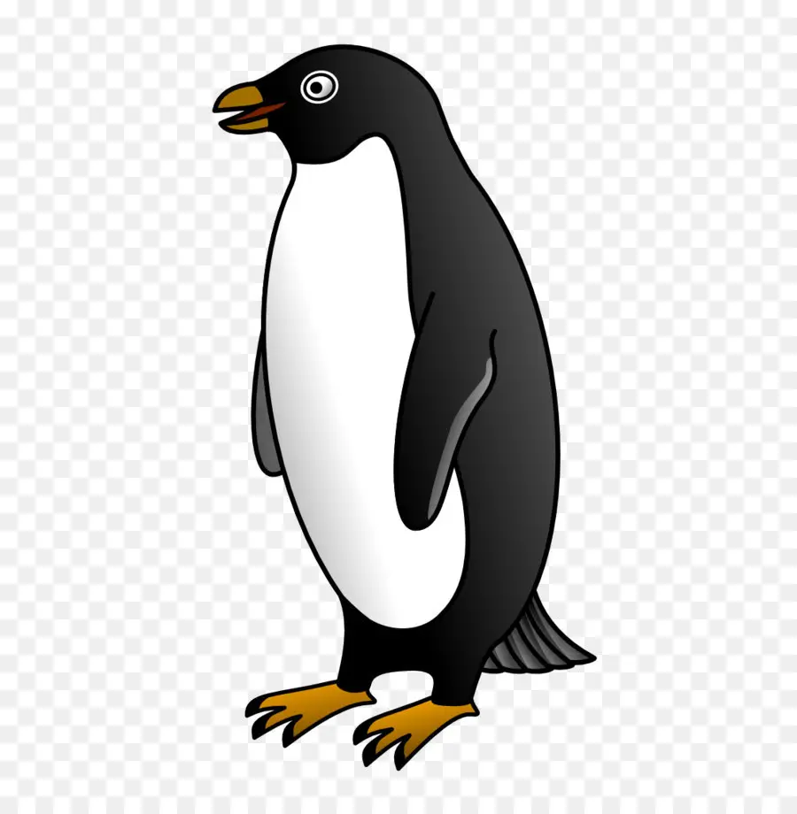 Penguin，Conteúdo Livre PNG