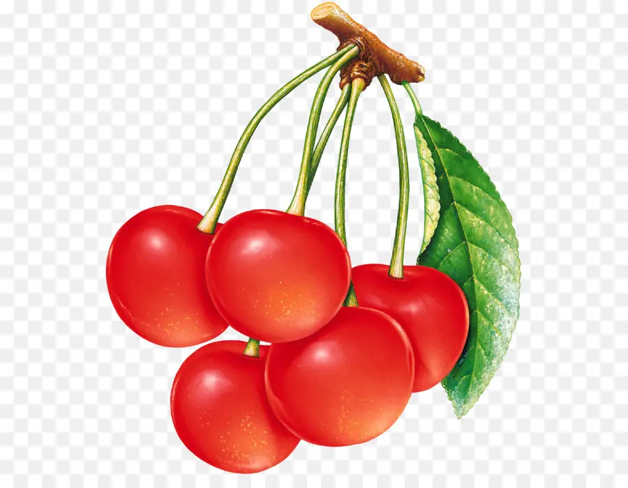 Cereja，Berry PNG