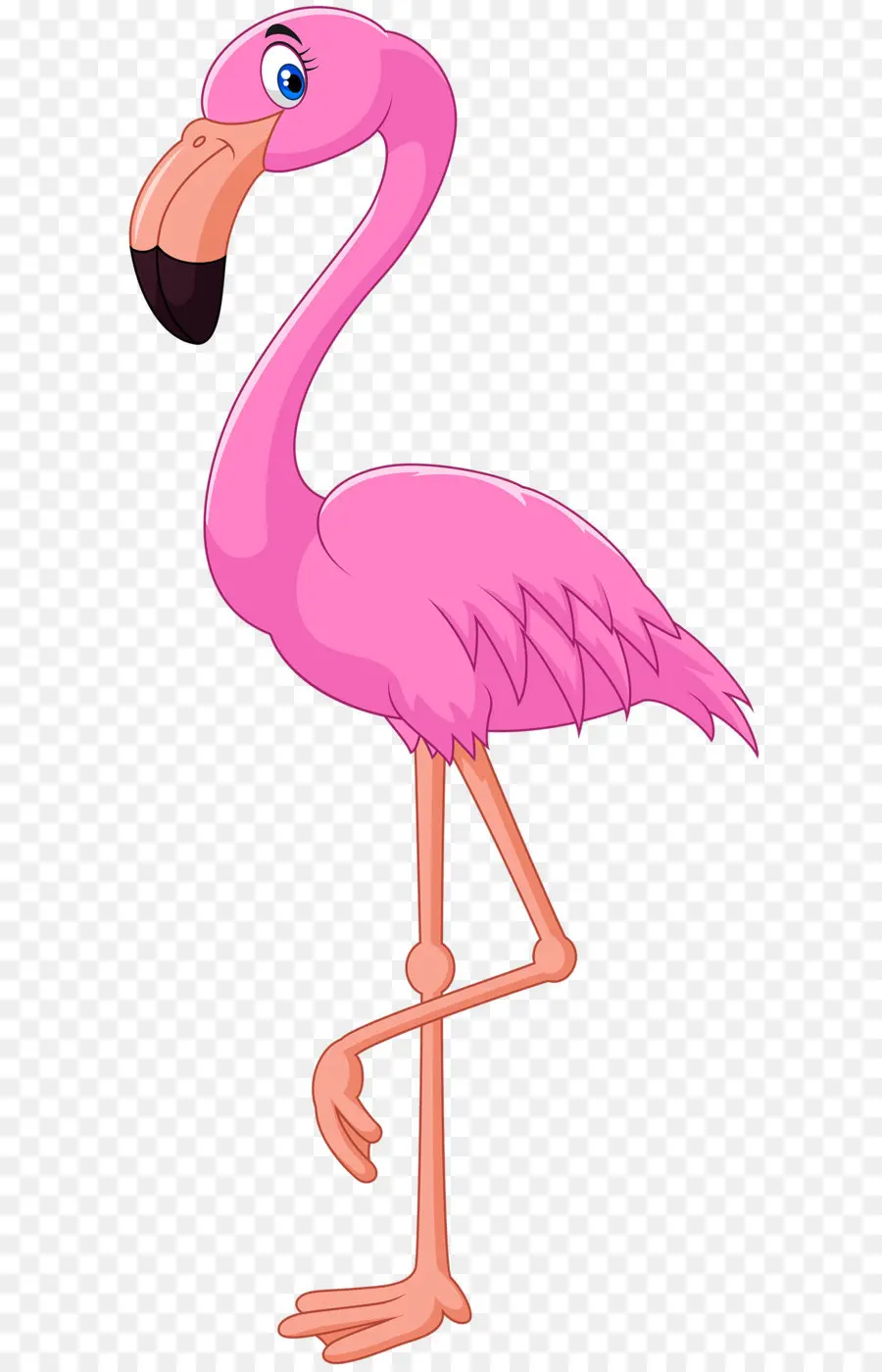 Flamingo，Cartoon PNG