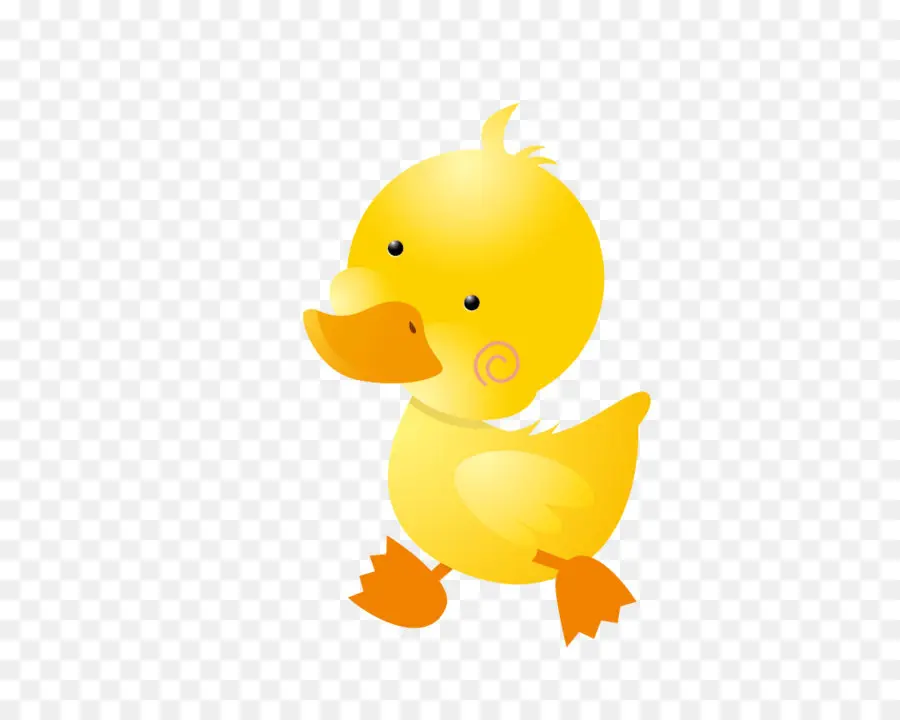 Pato，Pato Real PNG