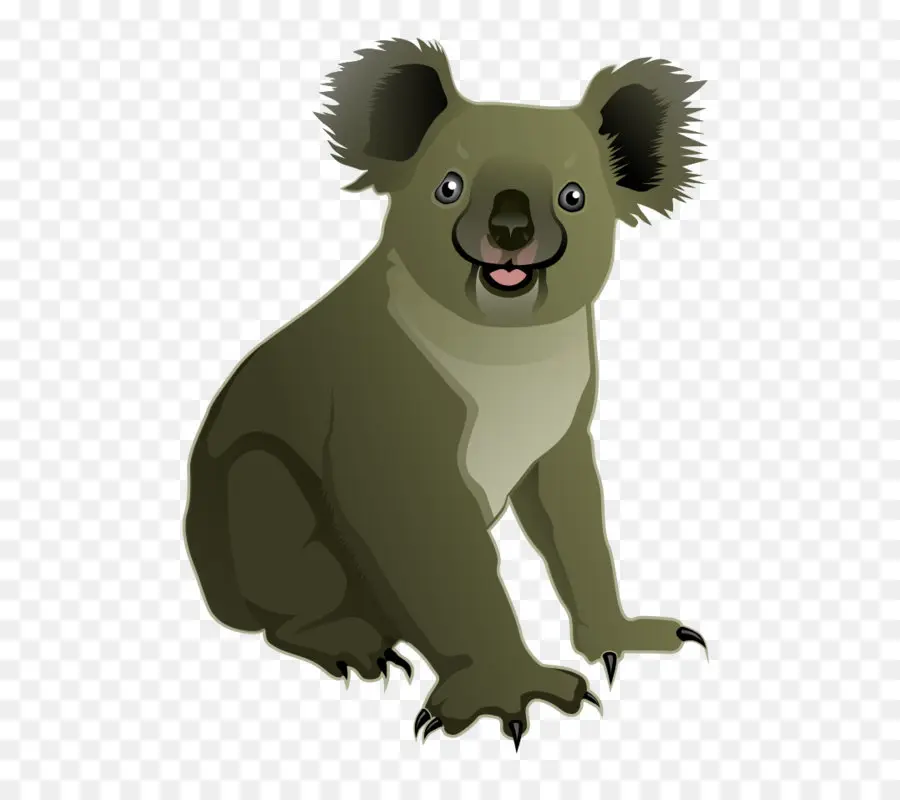 Coala，Marsupial PNG