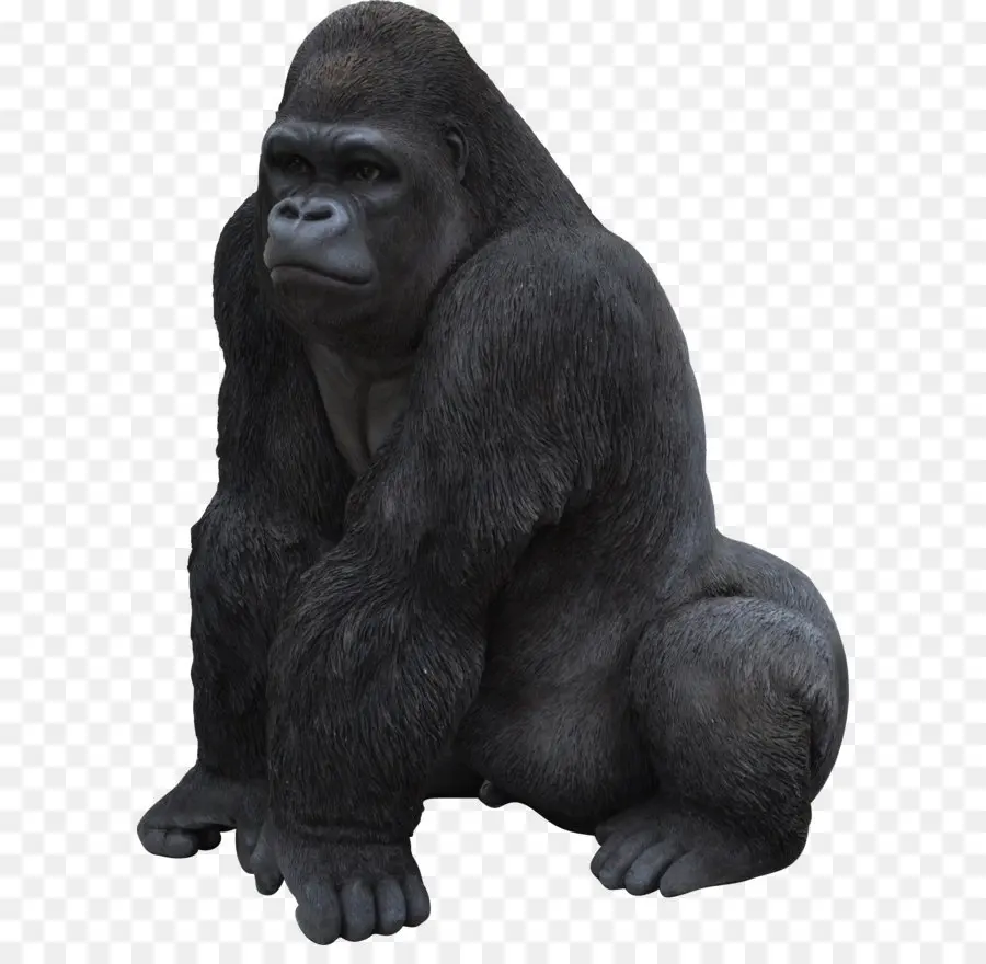 Gorila，Chimpanzé PNG