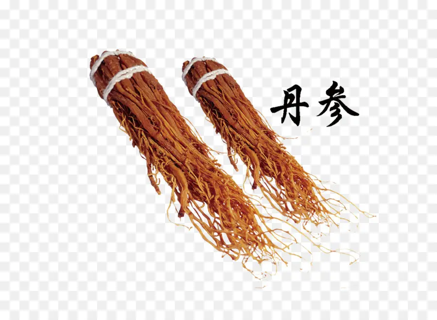 Ginseng Seco，Raiz PNG