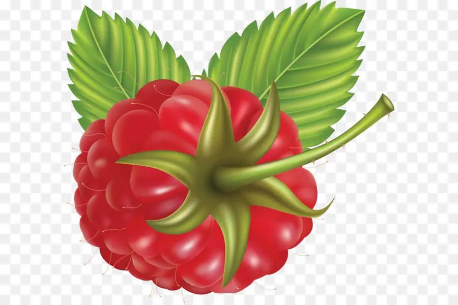 Suco De，Berry PNG