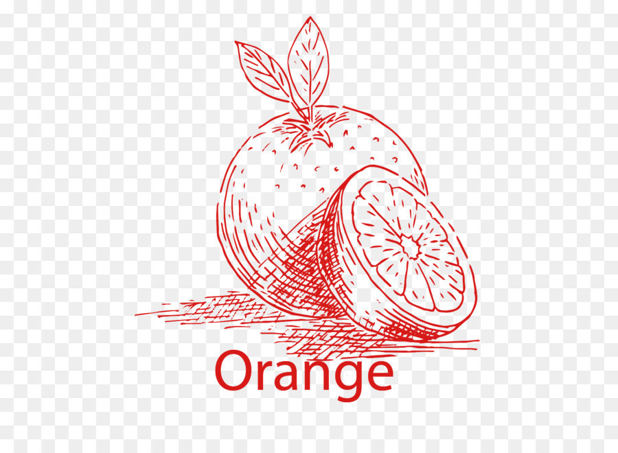 Laranja，Cítrico PNG