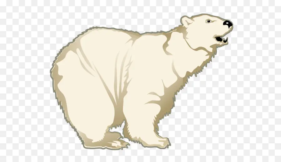 Grande Pirineus，Polar Urso PNG