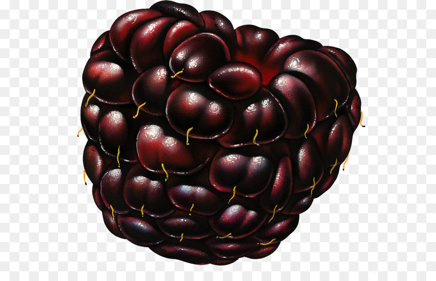 Berry，Framboesa PNG