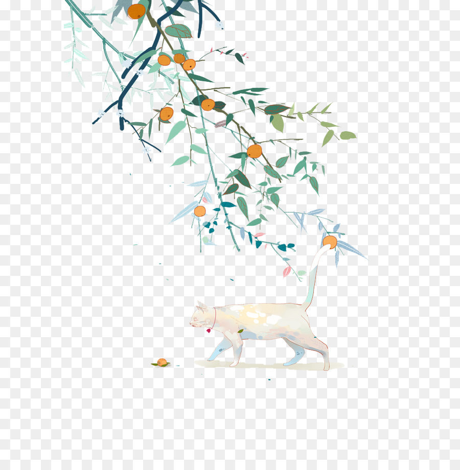 Gato Branco，Natureza PNG