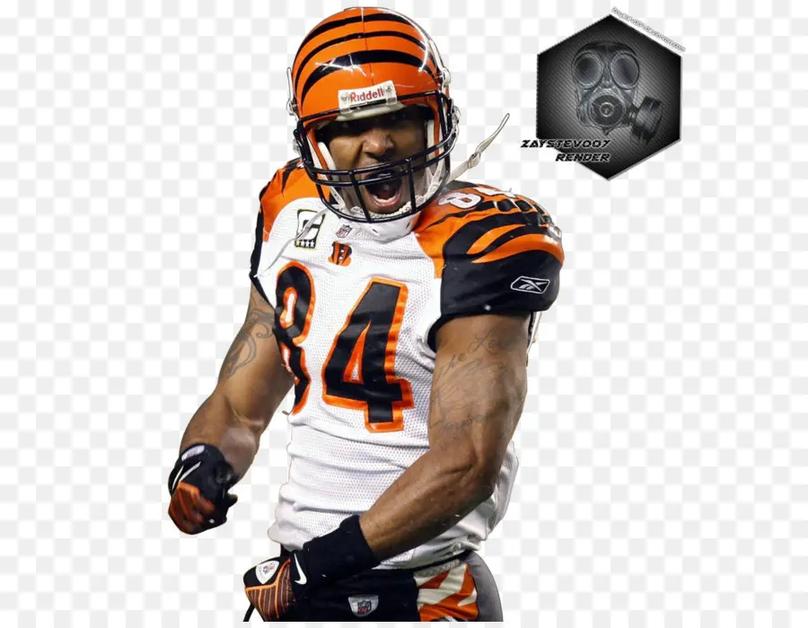 Nfl，Cincinnati Bengals PNG