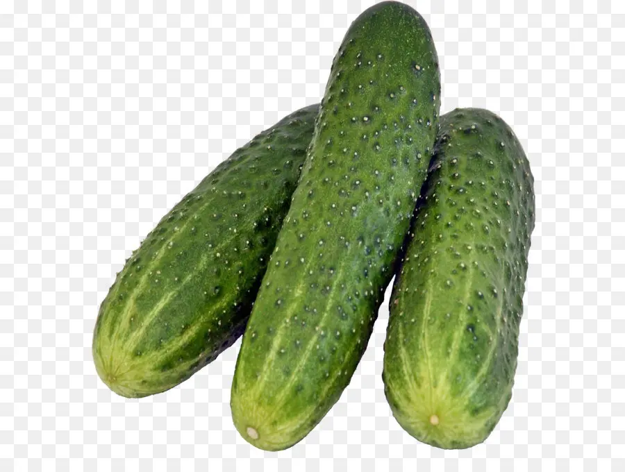 Pepino，Picles De Pepino PNG