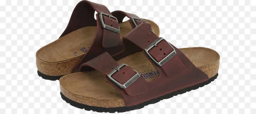 Chinelo，Birkenstock PNG