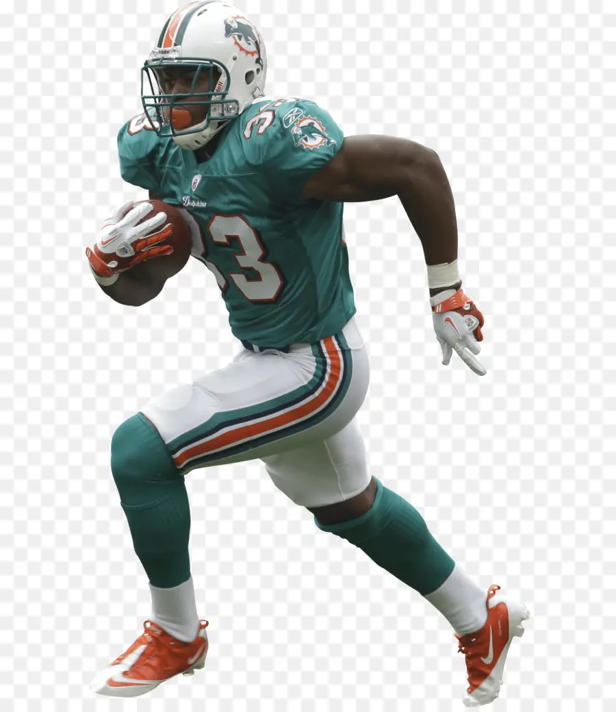 Miami Os Golfinhos，Nfl PNG