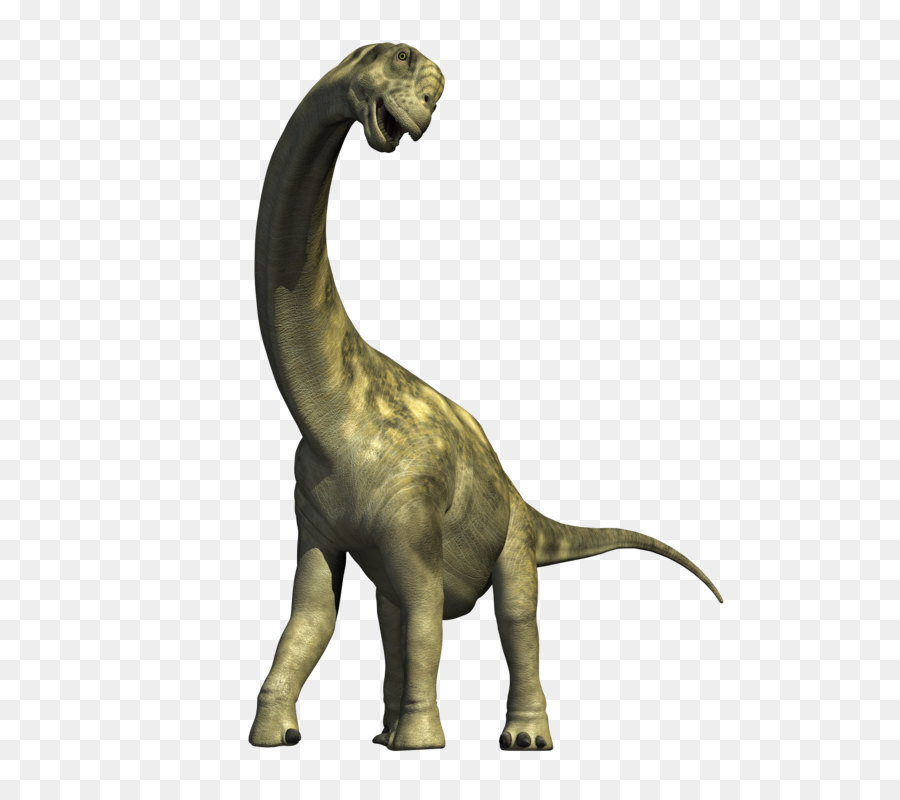 Tiranossauro Estegossauro Triceratops Parasaurolophus Velociraptor,  vaqueiro, carnívoro, tiranossauro png