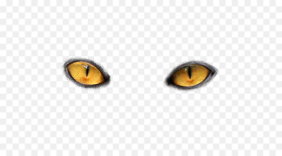 Olhos De Gato，Amarelo PNG