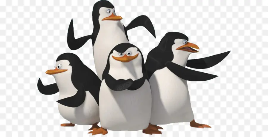 Pinguins，Pássaros PNG