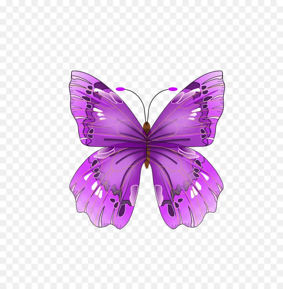 Borboleta，Roxo PNG