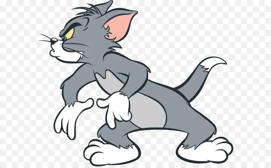 Gato，Jerry Mouse PNG