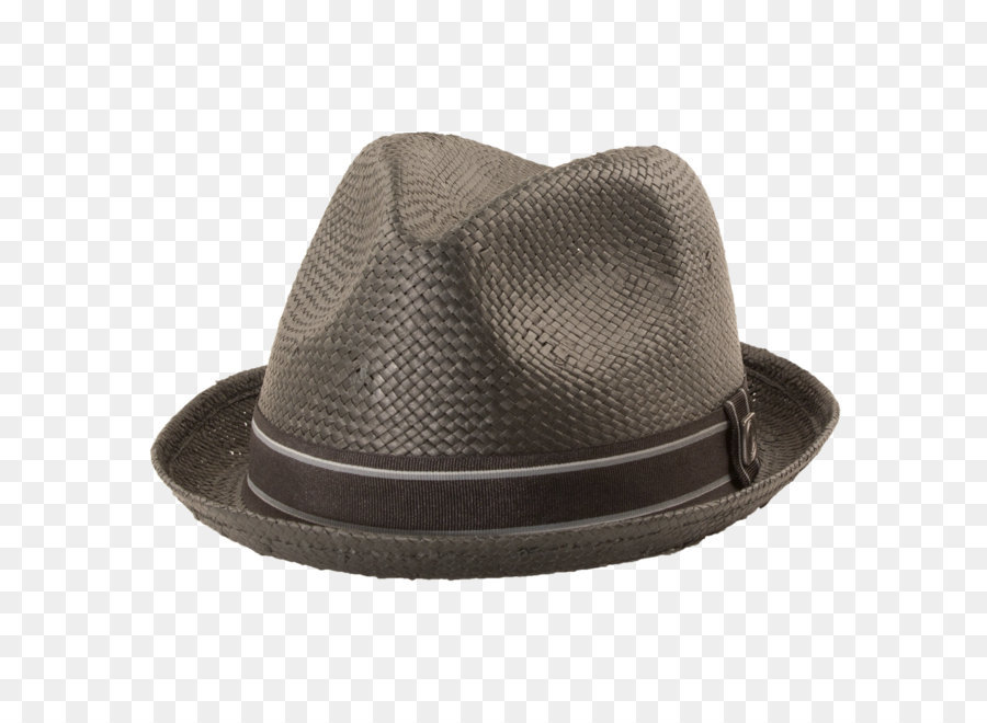 Chapéu，Fedora PNG