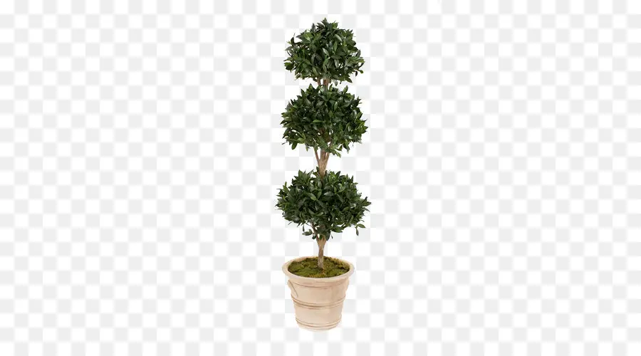 Topiary，Flowerpot PNG