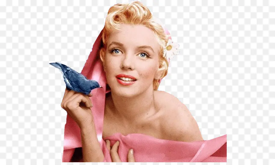 Marilyn Monroe，Morte De Marilyn Monroe PNG