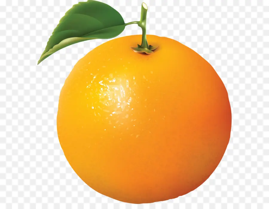 Laranja，Ambiente De Trabalho Papel De Parede PNG