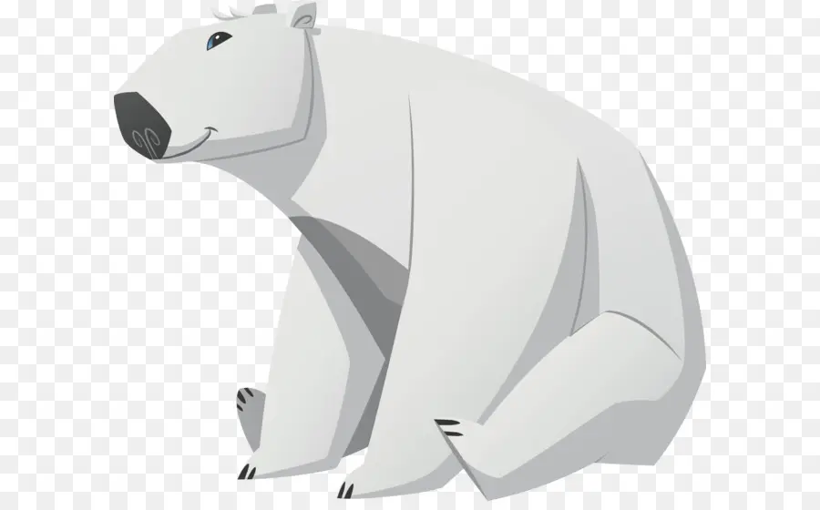 Urso Polar，ártico PNG