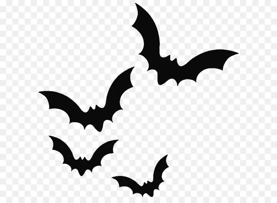 Bat，Halloween Filme Série PNG