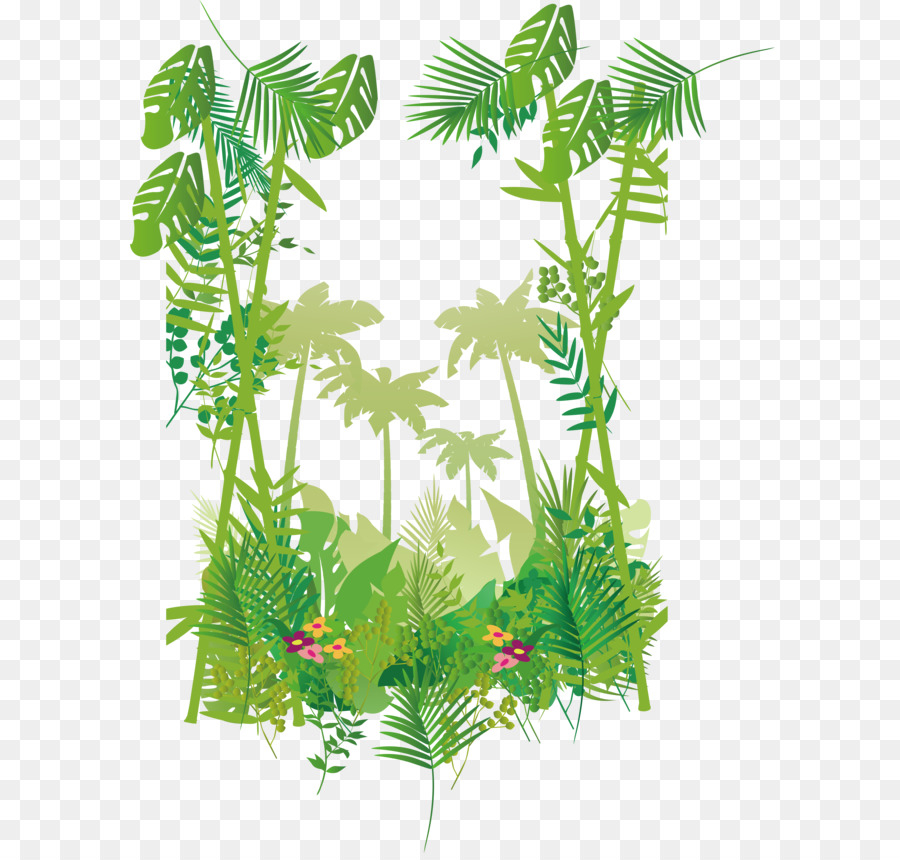 Tropical A Floresta，Folha PNG