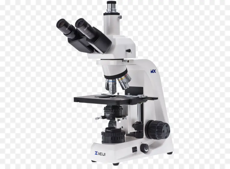 óptica Microscópio，Microscópio PNG