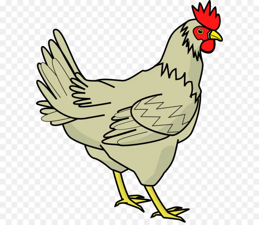 Frango De Desenho Animado，Frango PNG