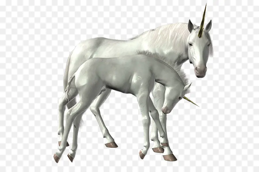 Unicórnios，Branco PNG