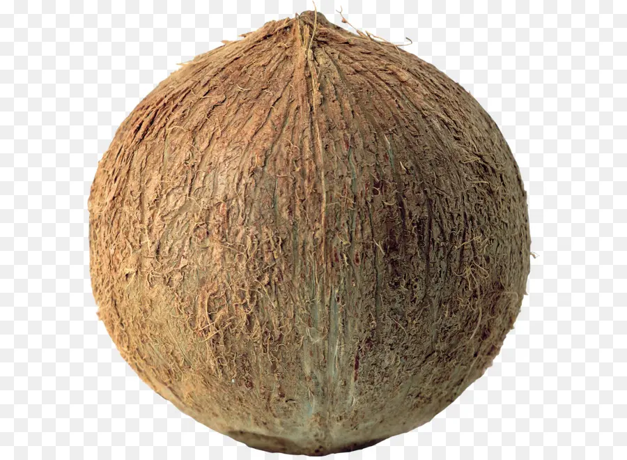 Coco，Fruta PNG