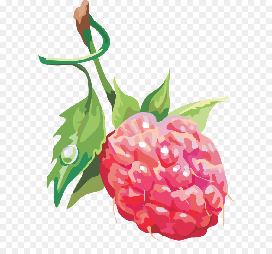 Framboesa，Fruta PNG